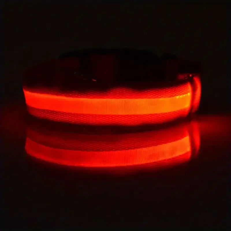 Nylon LED Night Safety Flashing Glow In The Dark Dog Leash Dogs Luminous Fluorescent Pet Dog Collar