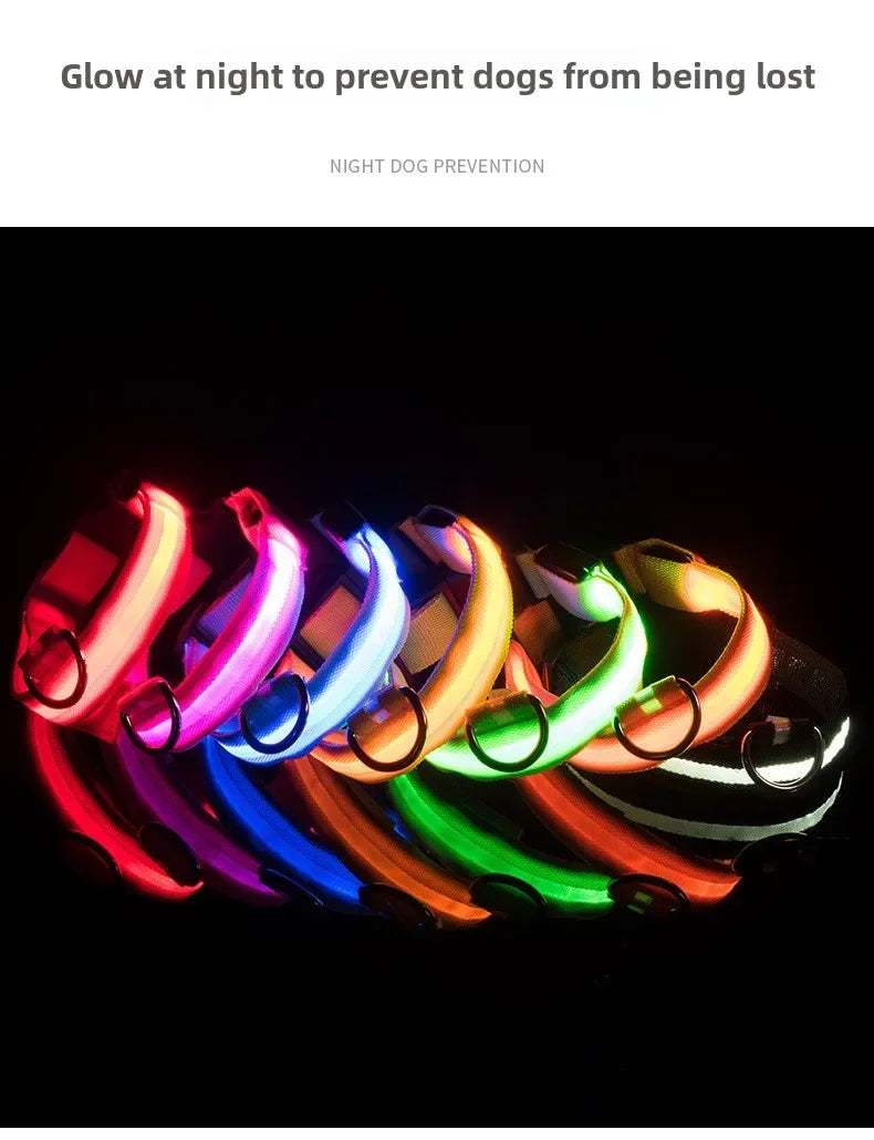 Reflective LED Dog Collar for Night Safety - Durable, Geometric Patterned, Battery-Powered, Ideal for Small/Medium Breeds