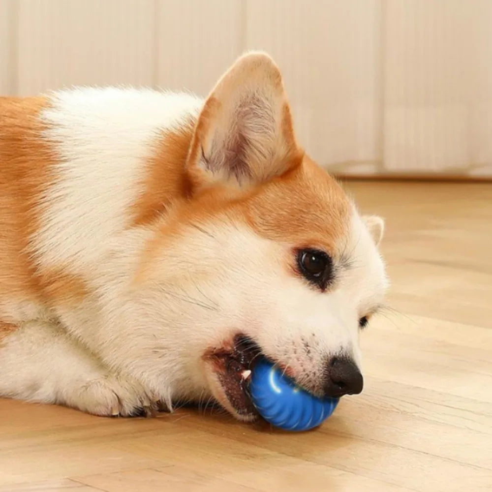 Pet Toy Ball Automatic Moving Dog Toy Ball Smart USB Jumping Rotating Interactive Dog Chew Toy Ball for Puppy Ball Toy