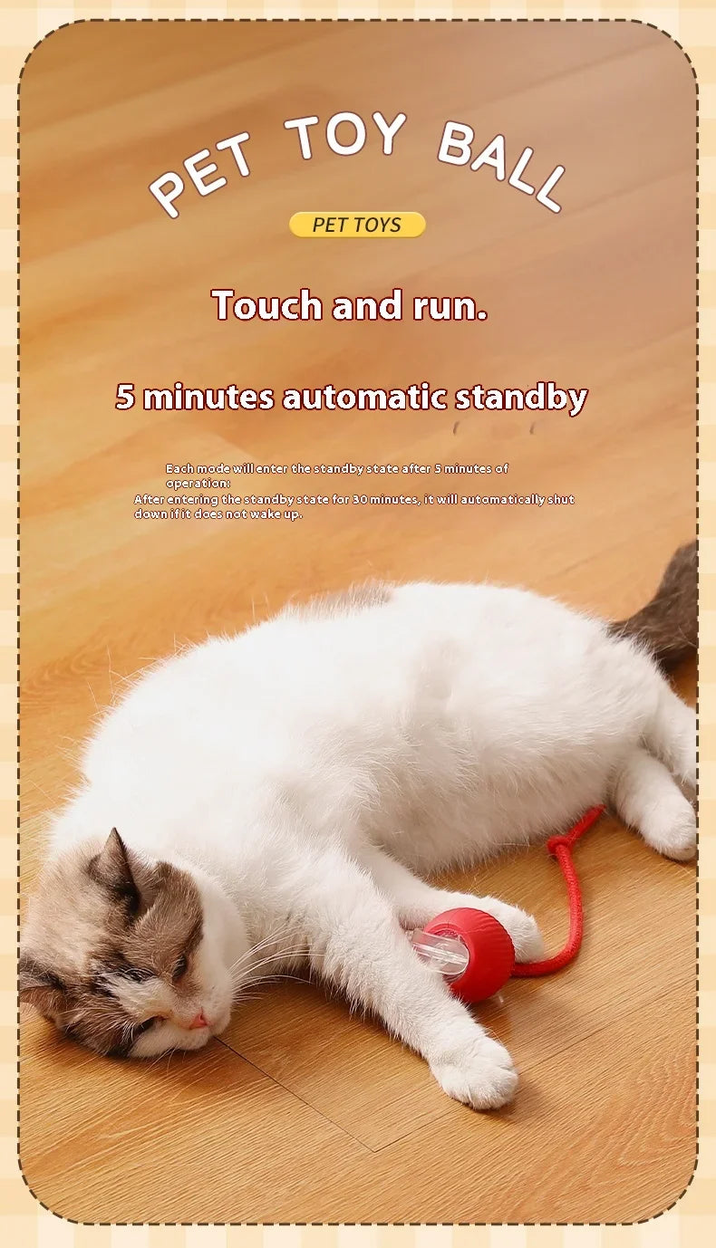 Interactive Cat Toys Ball Auto Electric Rolling Ball Toys for Cats/Kitty Pets Smart Automatic Teaser USB Rechargeable